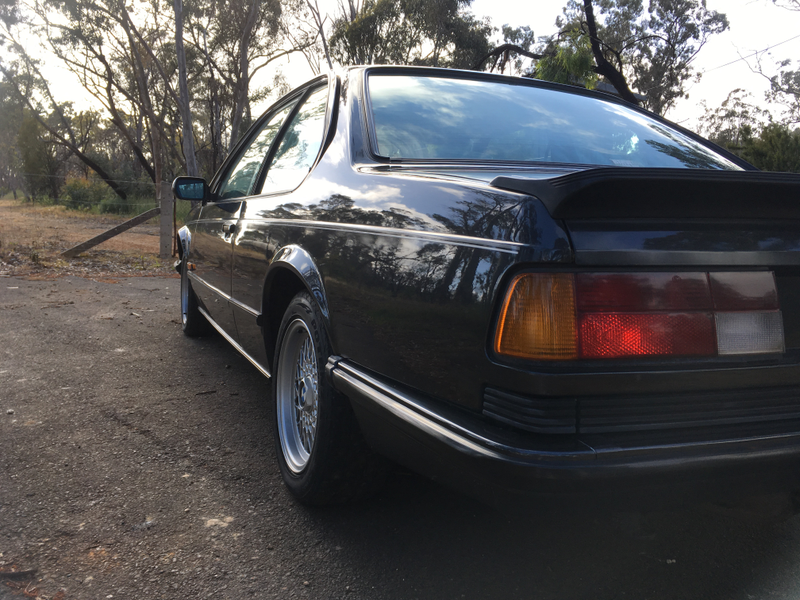 Illustration for article titled BMW 635CSi. Adelaide Hills. Springtime. Goodtime.